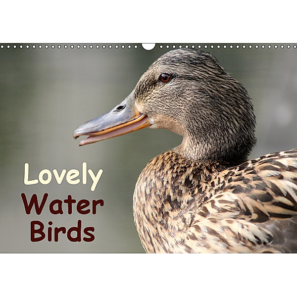 Lovely Water Birds (Wall Calendar 2019 DIN A3 Landscape), Ramona Meißner