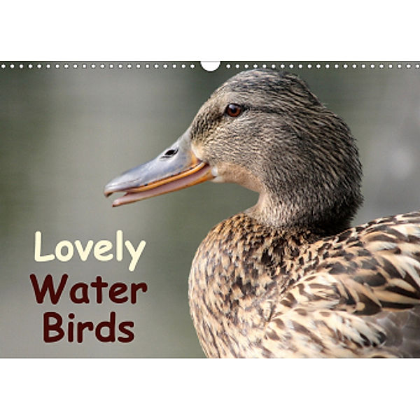 Lovely Water Birds (Wall Calendar 2021 DIN A3 Landscape), Ramona Meißner