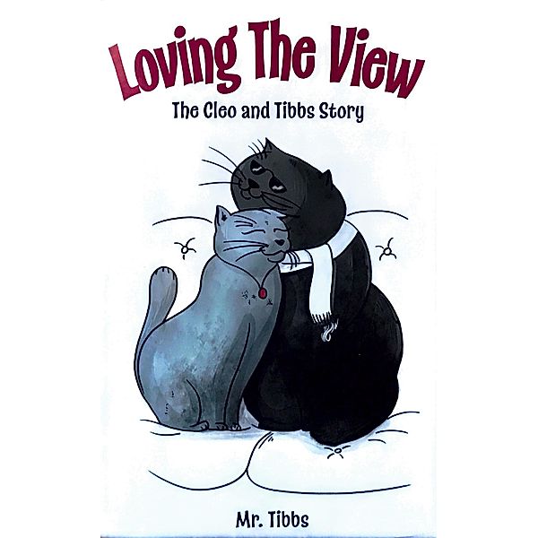 Loving The View: The Cleo And Tibbs Story, Judith Wiberg