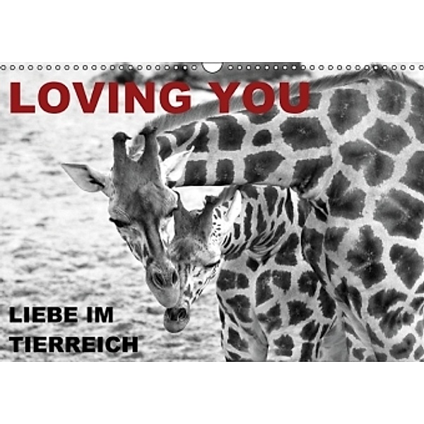LOVING YOU - Liebe im Tierreich (Wandkalender 2016 DIN A3 quer), Sigrun Düll