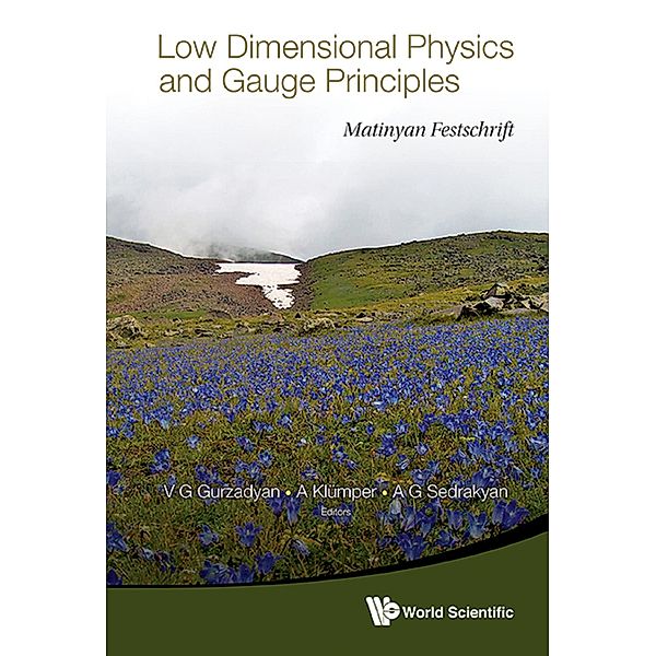 Low Dimensional Physics And Gauge Principles: Matinyan's Festschrift