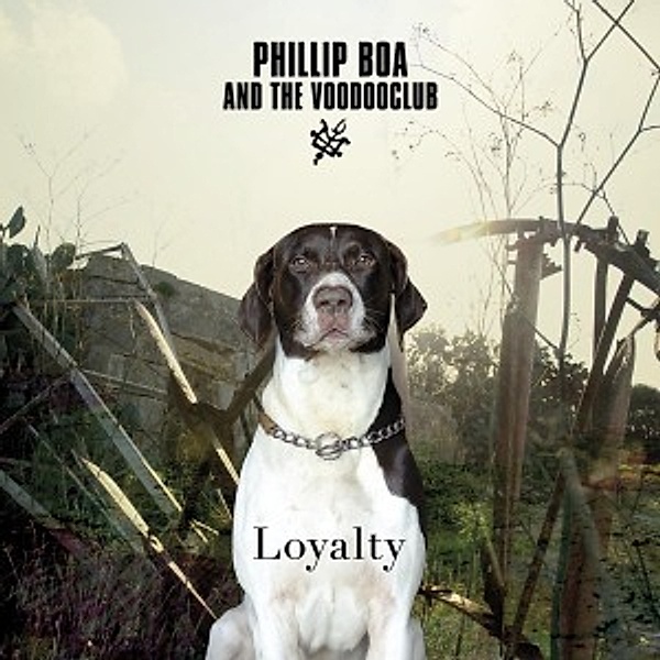 Loyalty-Deluxe Edition, Phillip & The Voodooclub Boa