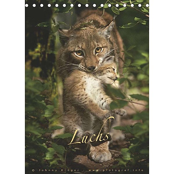 Luchs (Tischkalender 2023 DIN A5 hoch), Johnny Krüger