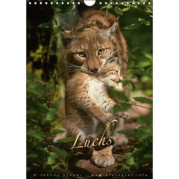 Luchs (Wandkalender 2016 DIN A4 hoch), Johnny Krüger