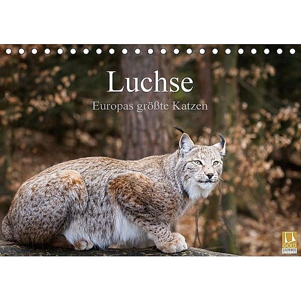 Luchse - Europas größte Katzen (Tischkalender 2017 DIN A5 quer), Cloudtail, k.A. Cloudtail