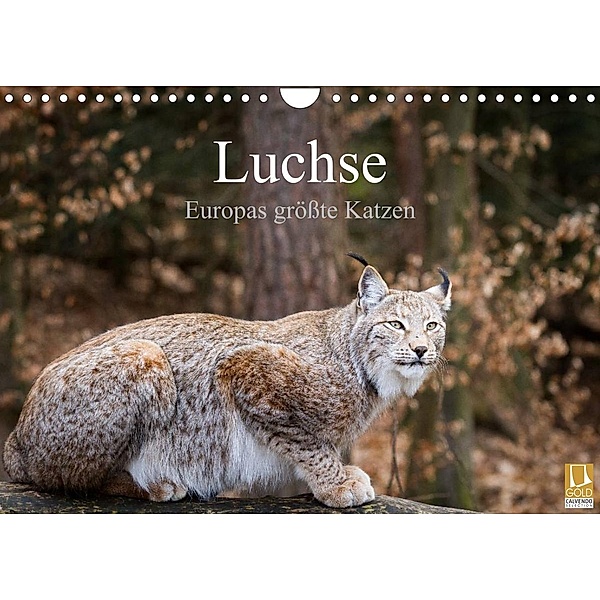 Luchse - Europas größte Katzen (Wandkalender 2023 DIN A4 quer), Cloudtail