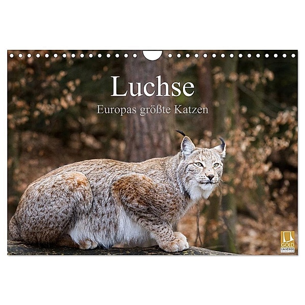 Luchse - Europas größte Katzen (Wandkalender 2024 DIN A4 quer), CALVENDO Monatskalender, Cloudtail