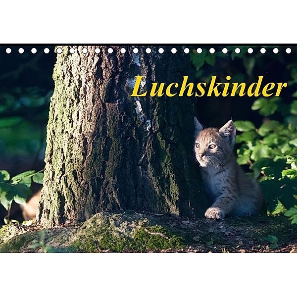 Luchskinder (Tischkalender 2017 DIN A5 quer), Wilfried Martin