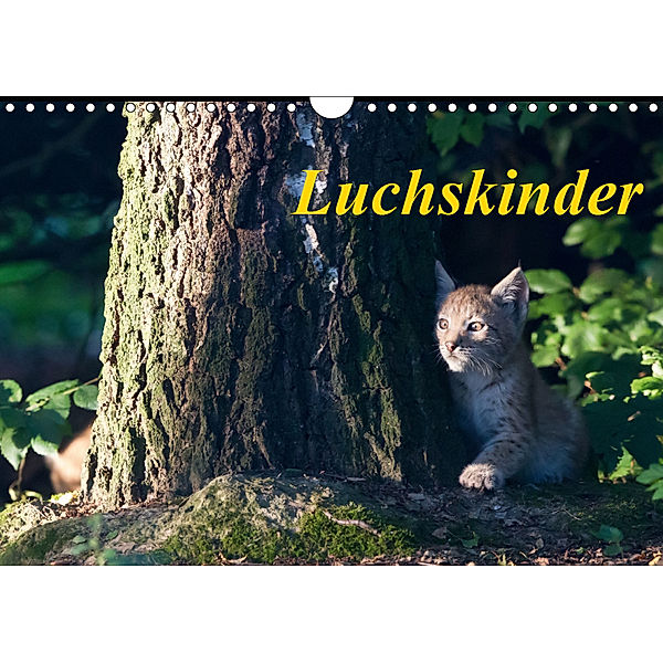 Luchskinder (Wandkalender 2019 DIN A4 quer), Wilfried Martin