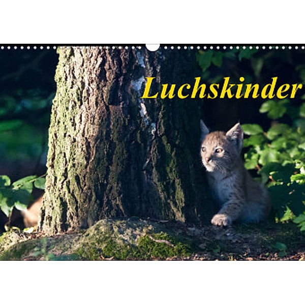 Luchskinder (Wandkalender 2022 DIN A3 quer), Wilfried Martin