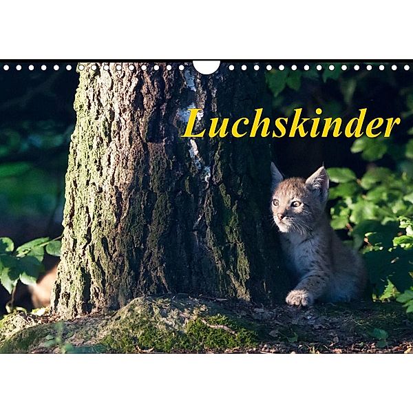 Luchskinder (Wandkalender 2023 DIN A4 quer), Wilfried Martin