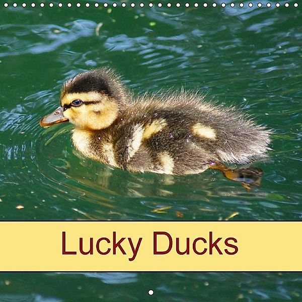 Lucky Ducks (Wall Calendar 2018 300 × 300 mm Square), kattobello