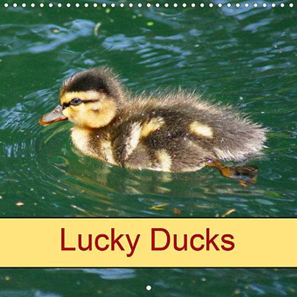 Lucky Ducks (Wall Calendar 2021 300 × 300 mm Square)