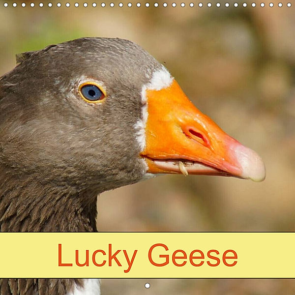 Lucky Geese (Wall Calendar 2023 300 × 300 mm Square), Kattobello