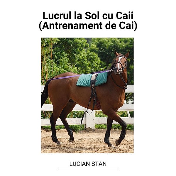 Lucrul la Sol cu Caii (Antrenament de Cai), Lucian Stan