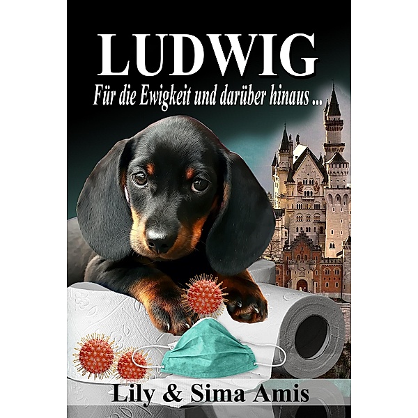 Ludwig, Für die Ewigkeit und darüber hinaus..., Lily Amis