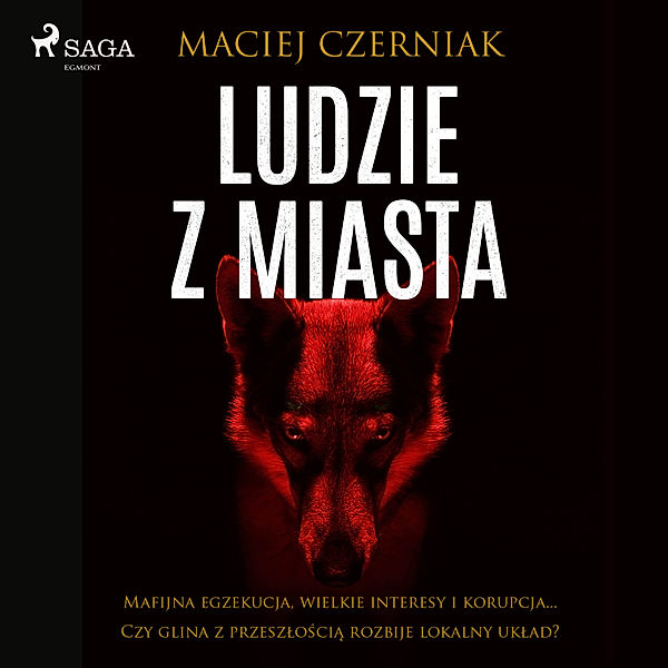 Ludzie z miasta, Maciej Czerniak