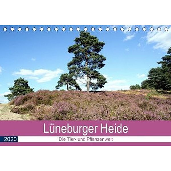 Lüneburger Heide - Die Tier- und Pfanzenwelt (Tischkalender 2020 DIN A5 quer), Anja Bagunk