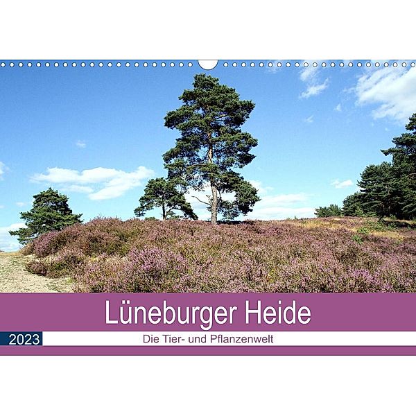 Lüneburger Heide - Die Tier- und Pfanzenwelt (Wandkalender 2023 DIN A3 quer), Anja Bagunk