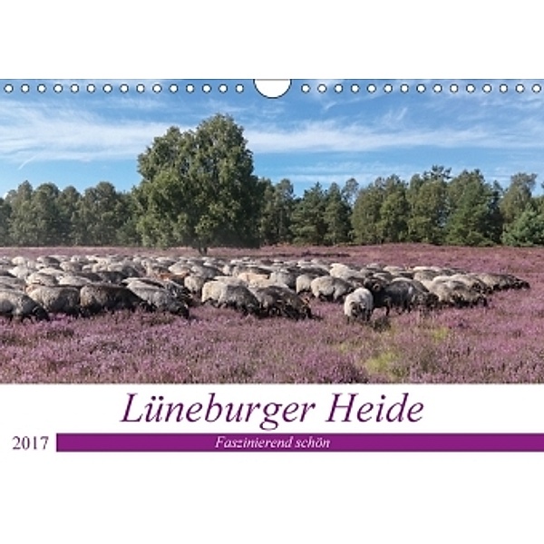 Lüneburger Heide - Faszinierend schön (Wandkalender 2017 DIN A4 quer), Heike Nack