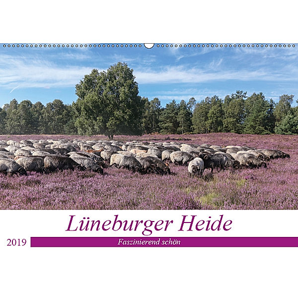 Lüneburger Heide - Faszinierend schön (Wandkalender 2019 DIN A2 quer), Heike Nack