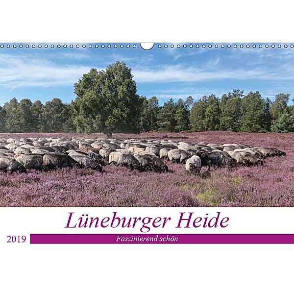 Lüneburger Heide - Faszinierend schön (Wandkalender 2019 DIN A3 quer), Heike Nack
