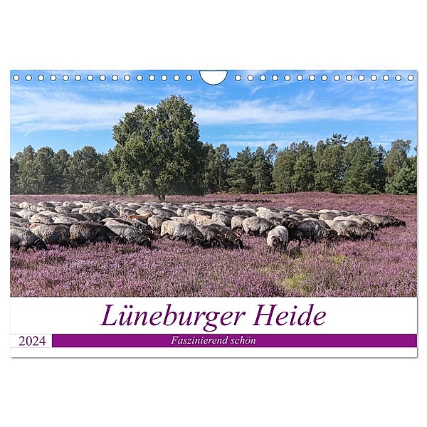 Lüneburger Heide - Faszinierend schön (Wandkalender 2024 DIN A4 quer), CALVENDO Monatskalender, Heike Nack