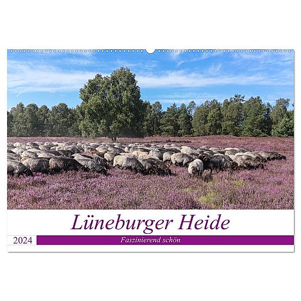 Lüneburger Heide - Faszinierend schön (Wandkalender 2024 DIN A2 quer), CALVENDO Monatskalender, Heike Nack
