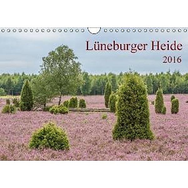 Lüneburger Heide (Wandkalender 2016 DIN A4 quer), Thomas Leonhardy