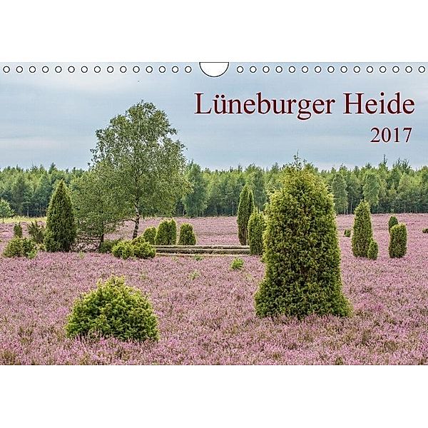 Lüneburger Heide (Wandkalender 2017 DIN A4 quer), Thomas Leonhardy