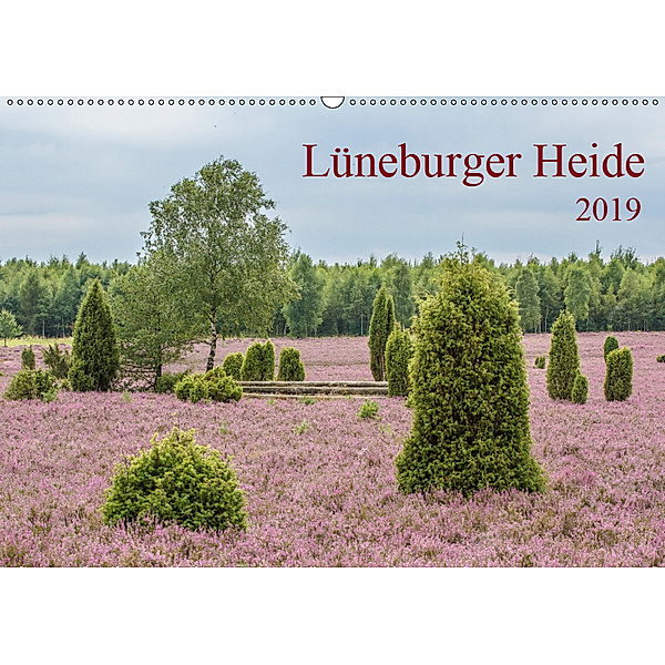 Lüneburger Heide (Wandkalender 2019 DIN A2 quer), Thomas Leonhardy