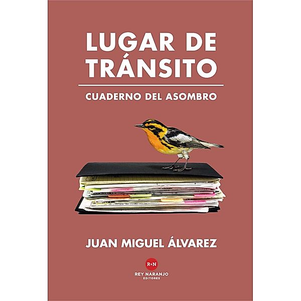 Lugar de tránsito, Juan Miguel Álvarez