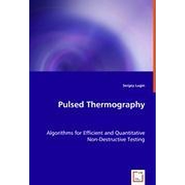 Lugin, S: Pulsed Thermography, Sergey Lugin