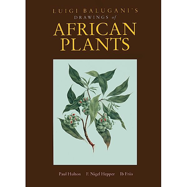 Luigi Balugani's Drawings of African Plants, Paul Hulton
