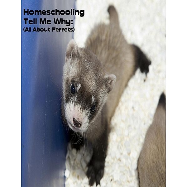 Lulu.com: Homeschooling Tell Me Why:  (All About Ferrets), Sean Mosley