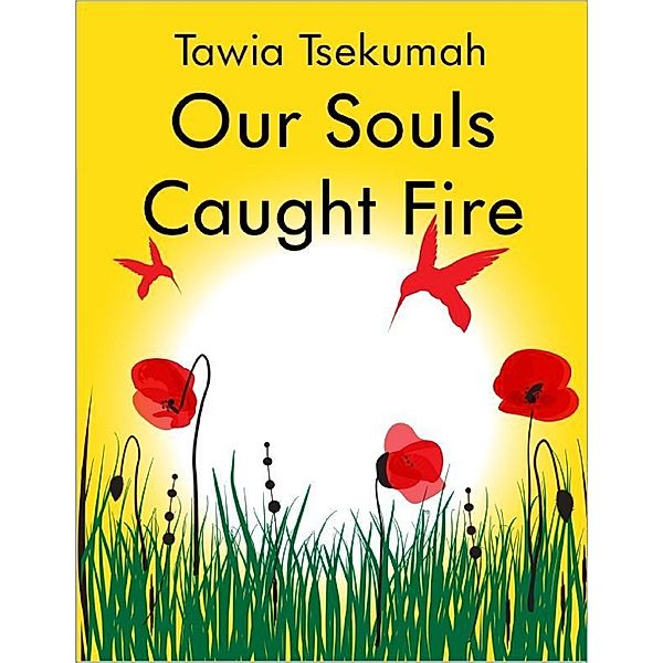 Lulu.com: Our Souls Caught Fire, Tawia Tsekumah