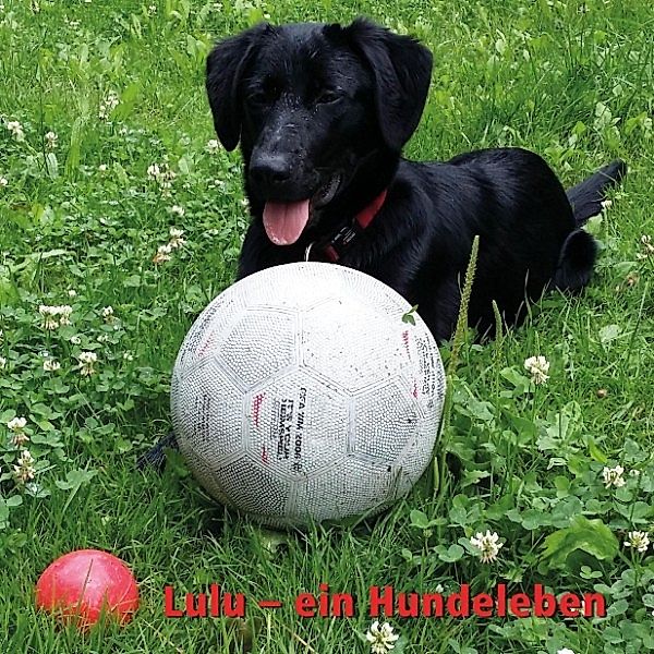 Lulu - Ein Hundeleben