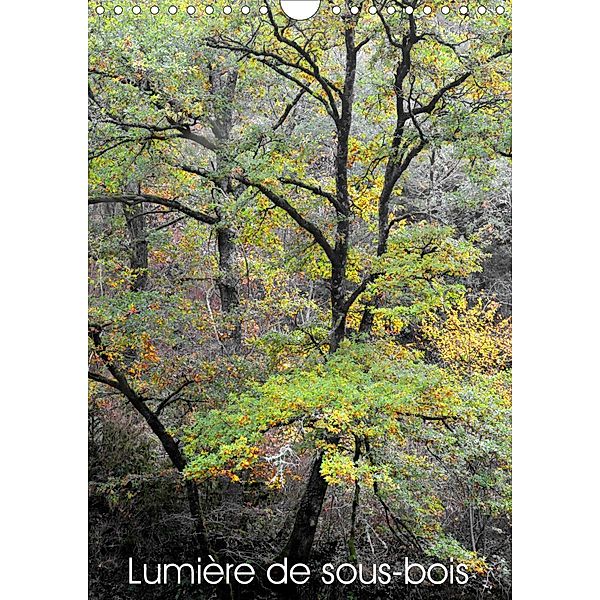 Lumière de sous-bois (Calendrier mural 2021 DIN A4 vertical), Patrice Thébault