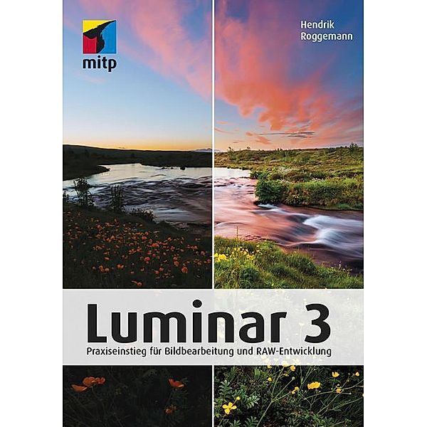 Luminar 3, Hendrik Roggemann