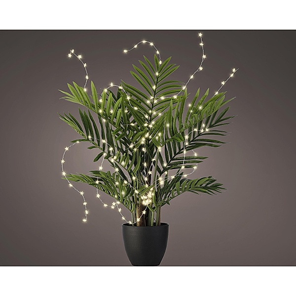Lumineo LED-Pflanzenbeleuchtung, warm white Sterne (Größe: 60 LEDs)