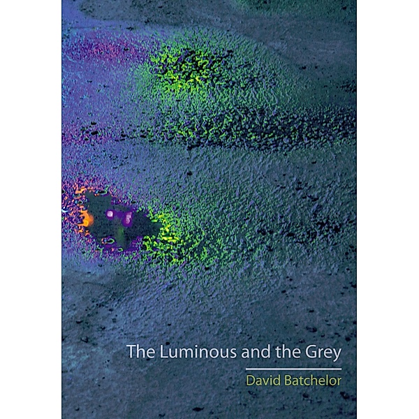 Luminous and the Grey, Batchelor David Batchelor