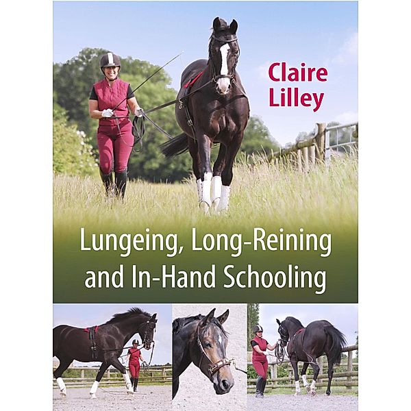 Lungeing, Long-Reining and In-Hand Schooling, Claire Lilley