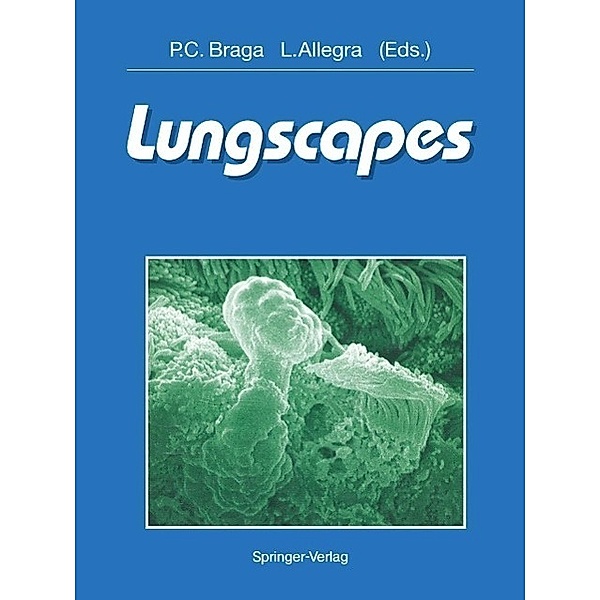Lungscapes