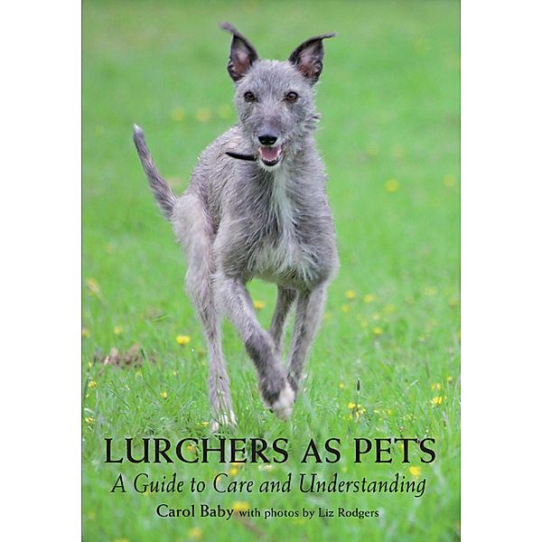 Lurchers as Pets, Carol Baby