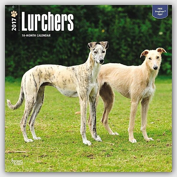 Lurchers - Lurcher 2017 - 18-Monatskalender