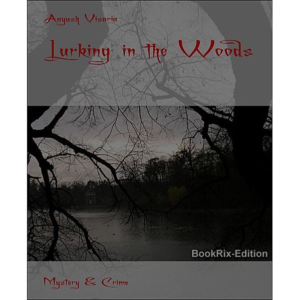 Lurking in the Woods, Aayush Visaria