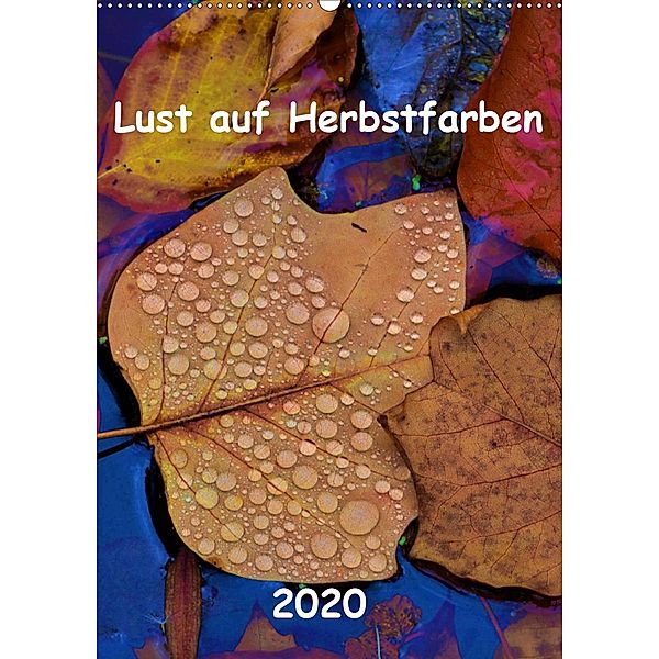 Lust auf Herbstfarben (Wandkalender 2020 DIN A2 hoch), Renate Grobelny