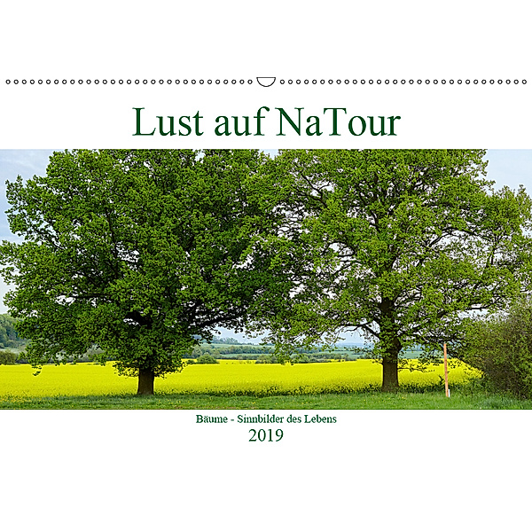 Lust auf NaTour - Bäume (Wandkalender 2019 DIN A2 quer), Andreas Riedmiller