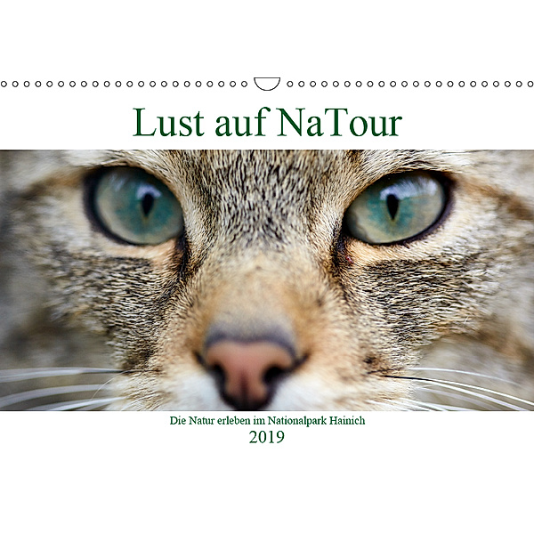 Lust auf NaTour - Nationalpark Hainich (Wandkalender 2019 DIN A3 quer), Andreas Riedmiller
