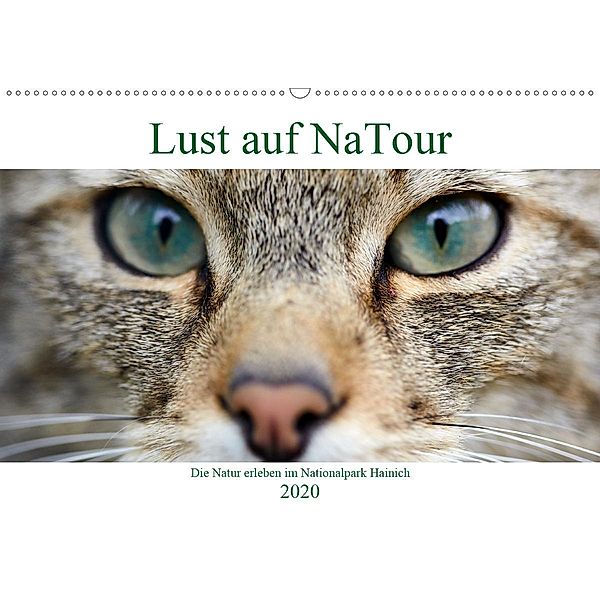 Lust auf NaTour - Nationalpark Hainich (Wandkalender 2020 DIN A2 quer), Andreas Riedmiller